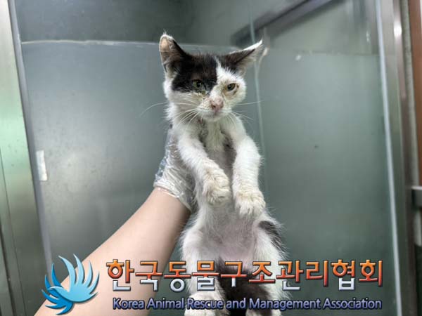 종료(자연사) 한국…